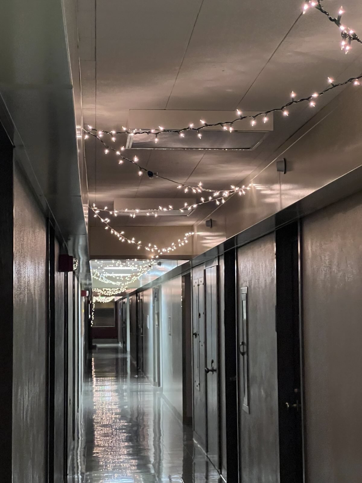 String Lights